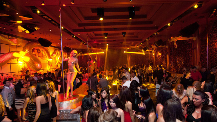 Surrender nightclub Las Vegas