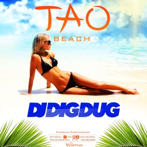 DJ Dig Dug - TAO Beach